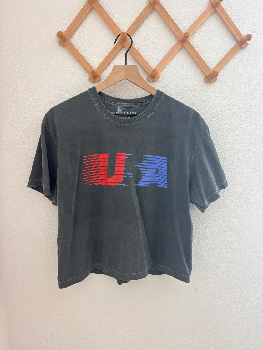 Ascot + Hart Usa Graphic Tee Retro Cropped — image 8 of 8